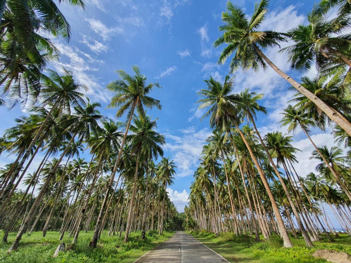 Bed and Breakfast Coleto Siargao San Isidro  Exterior foto