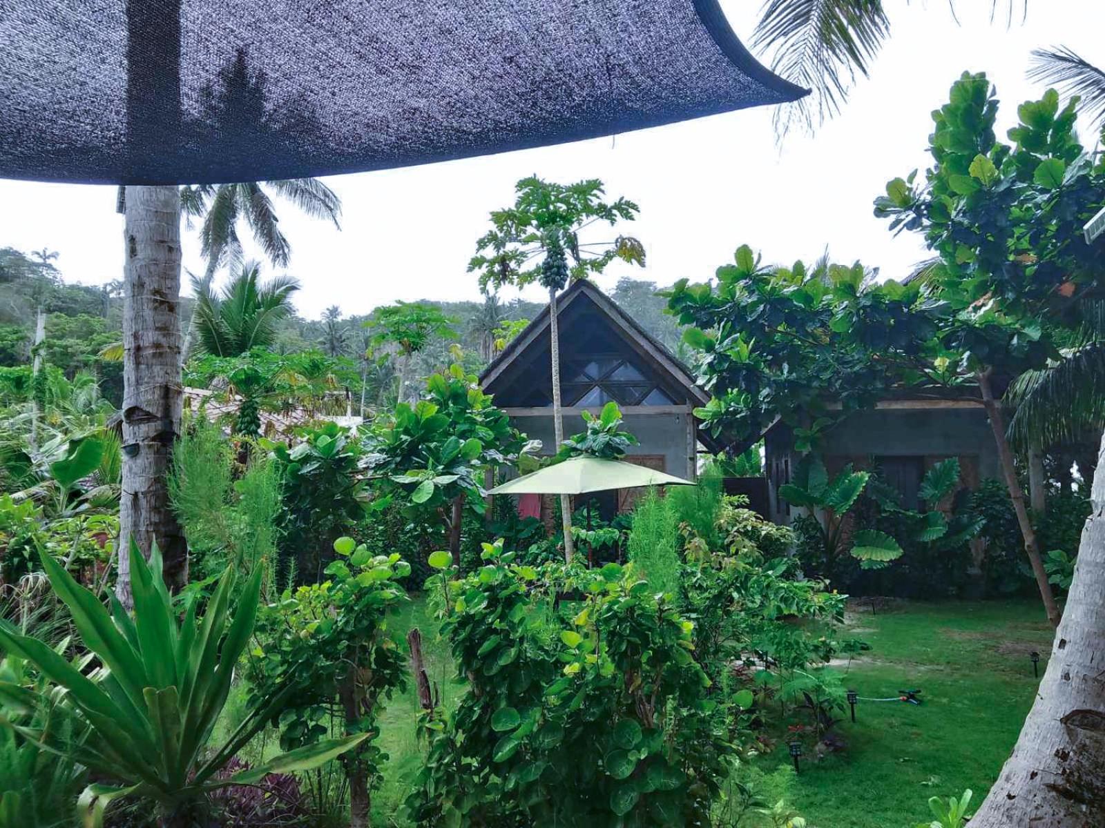 Bed and Breakfast Coleto Siargao San Isidro  Exterior foto