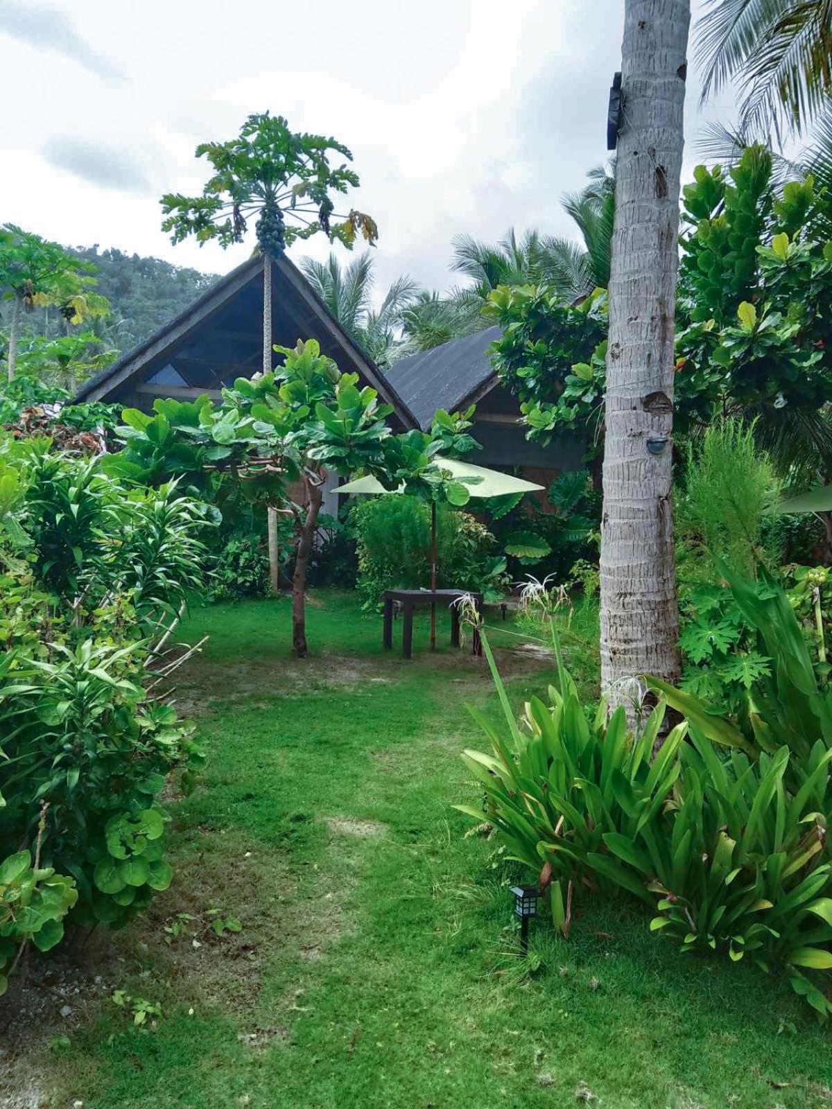 Bed and Breakfast Coleto Siargao San Isidro  Exterior foto