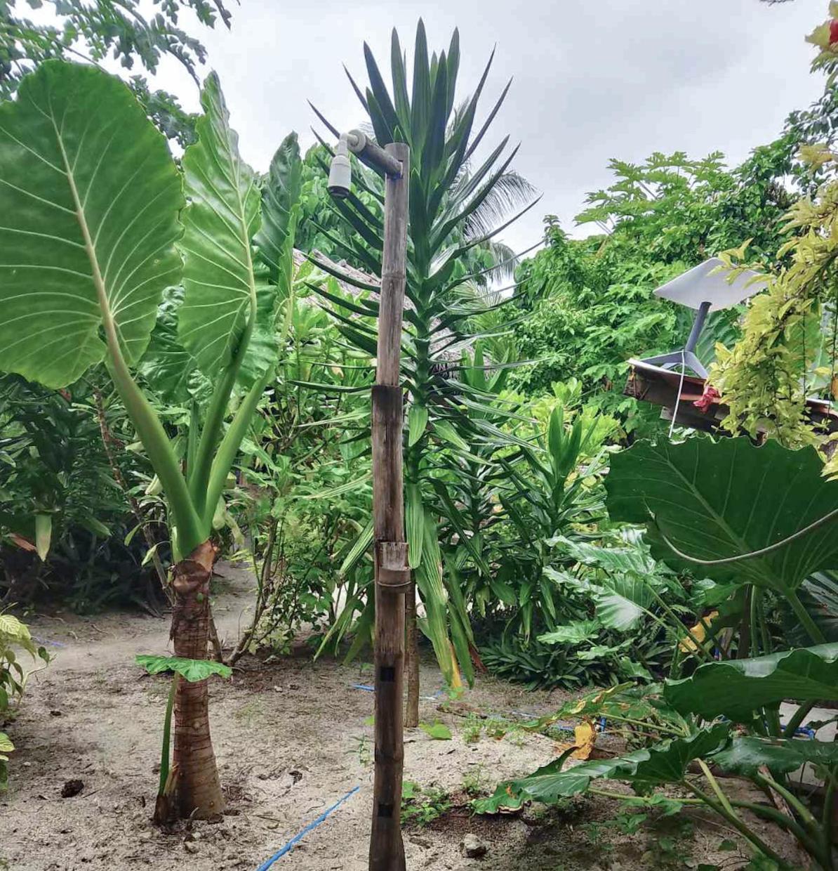 Bed and Breakfast Coleto Siargao San Isidro  Exterior foto