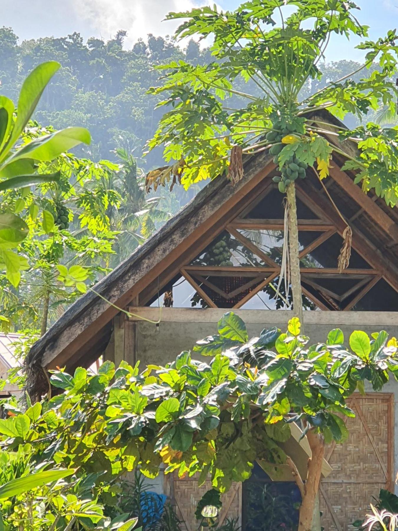 Bed and Breakfast Coleto Siargao San Isidro  Exterior foto