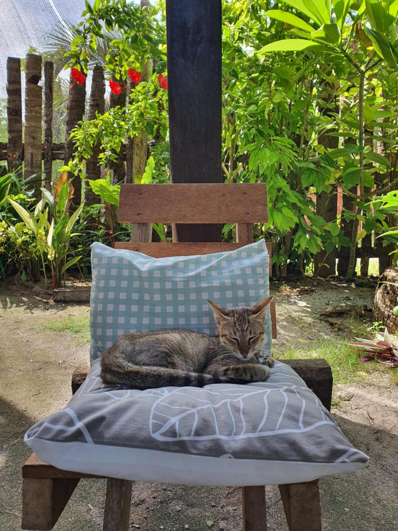 Bed and Breakfast Coleto Siargao San Isidro  Exterior foto