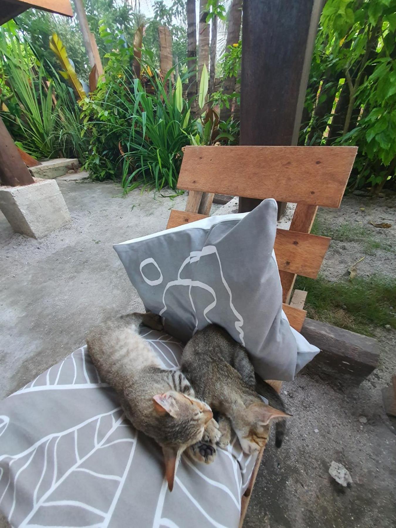 Bed and Breakfast Coleto Siargao San Isidro  Exterior foto
